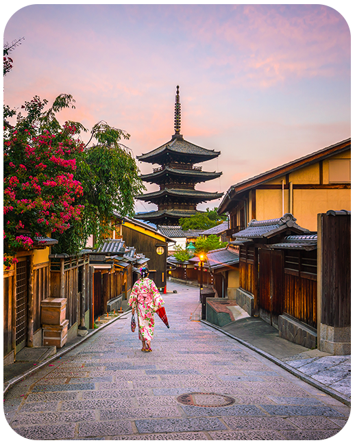 Japan Data Only Plan