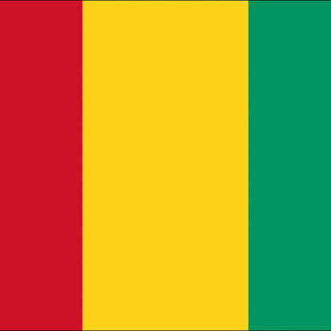 Guinea