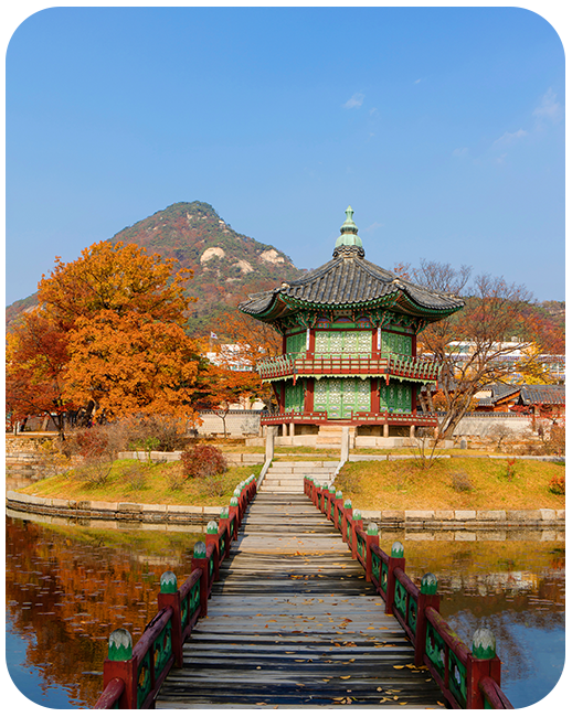 South Korea Data Only Plan