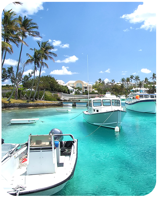 Bermuda Data Only Plan