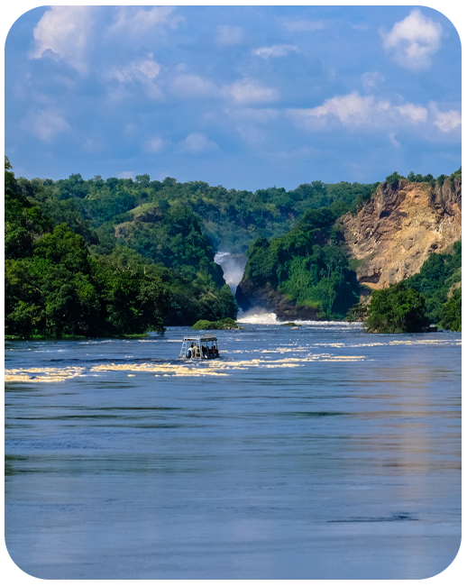 Suriname Data Only Plan