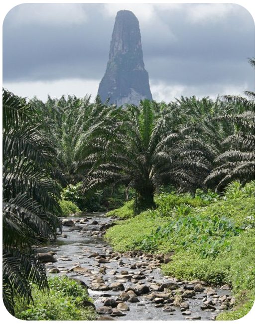 Sao Tome and Principe Data Only Plan