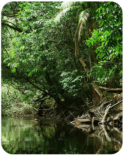 French Guiana Data Only Plan