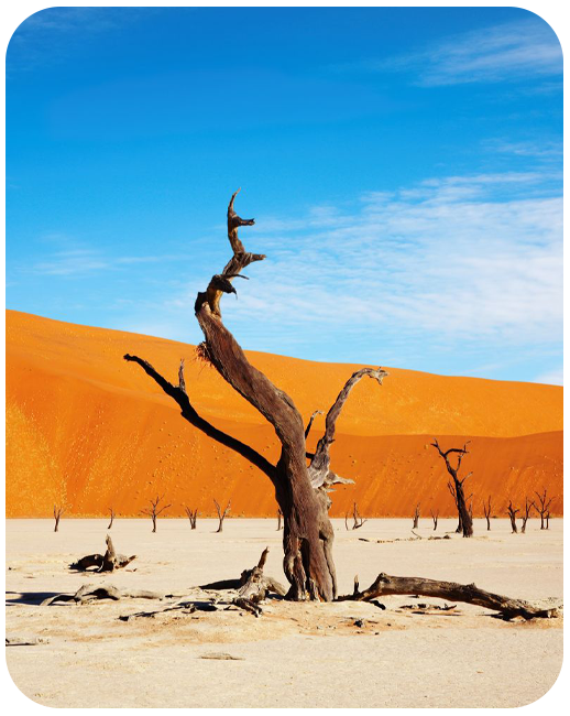 Namibia Data Only Plan
