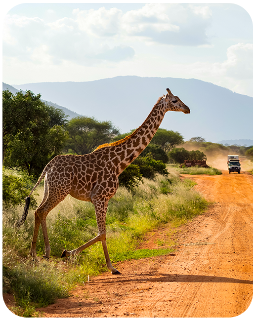 Kenya Data Only Plan