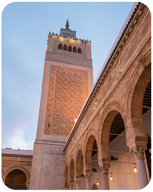 Tunisia Data Only Plan